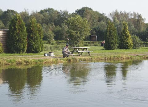 De Woldstek Visvijvers & Minicamping foto 9