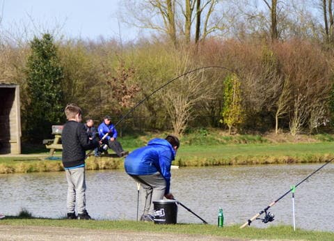 De Woldstek Visvijvers & Minicamping foto 7