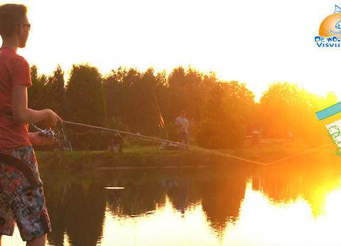 De Woldstek Visvijvers & Minicamping foto 1