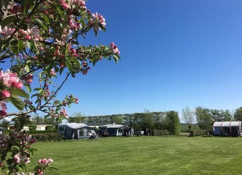 Minicamping Zeelucht foto 8