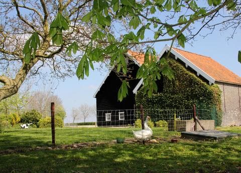 De Zonnehoeve foto 6