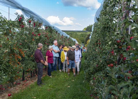 Vakantieoord Zonnehoeve foto 4