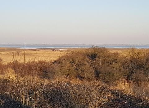 Camping Zonnemaire foto 5