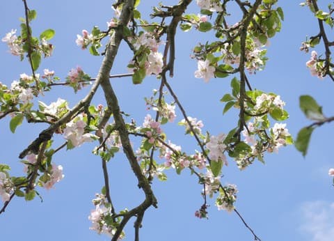 Hoeve Zorglust foto 5