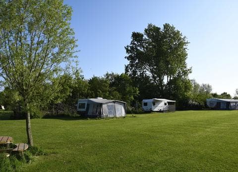 Boerderijcamping Zuiderhoeve foto 8