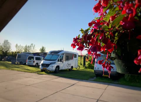 Minicamping Zwetzone foto 3