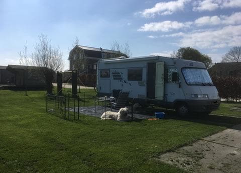 Minicamping Zwetzone foto 8