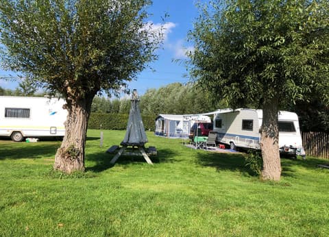 Minicamping Zwetzone foto 4